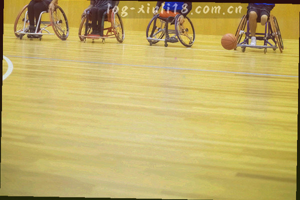 联赛专题数据聚合图与多维度对比图表